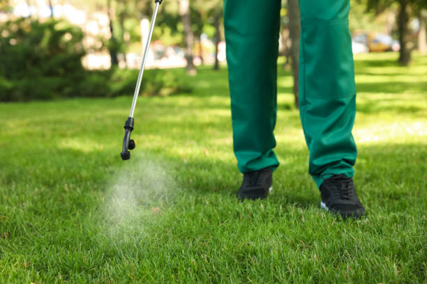 Best Wasp Removal Services  in Warr Acres, OK