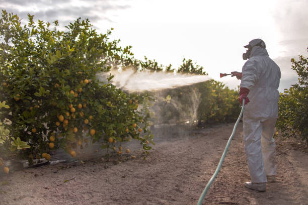 Best Pest Inspection Near Me  in Warr Acres, OK