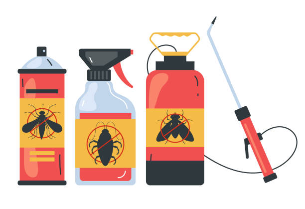 Best Ant Control Services  in Warr Acres, OK