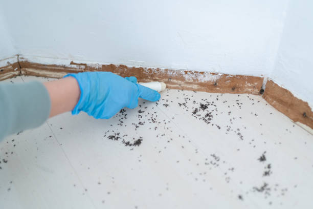 Best Best Pest Control Companies  in Warr Acres, OK