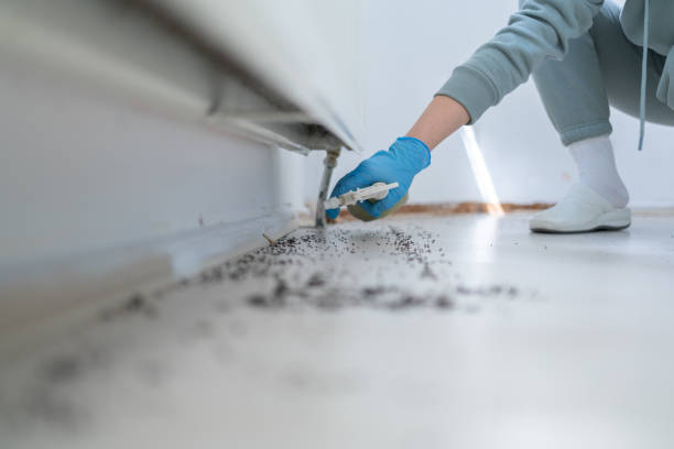 Best Pest Prevention Services  in Warr Acres, OK